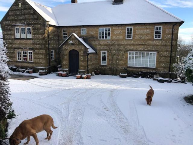 Whiteways Farmhouse Buckland Newton Exterior foto